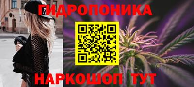 скорость Кандалакша