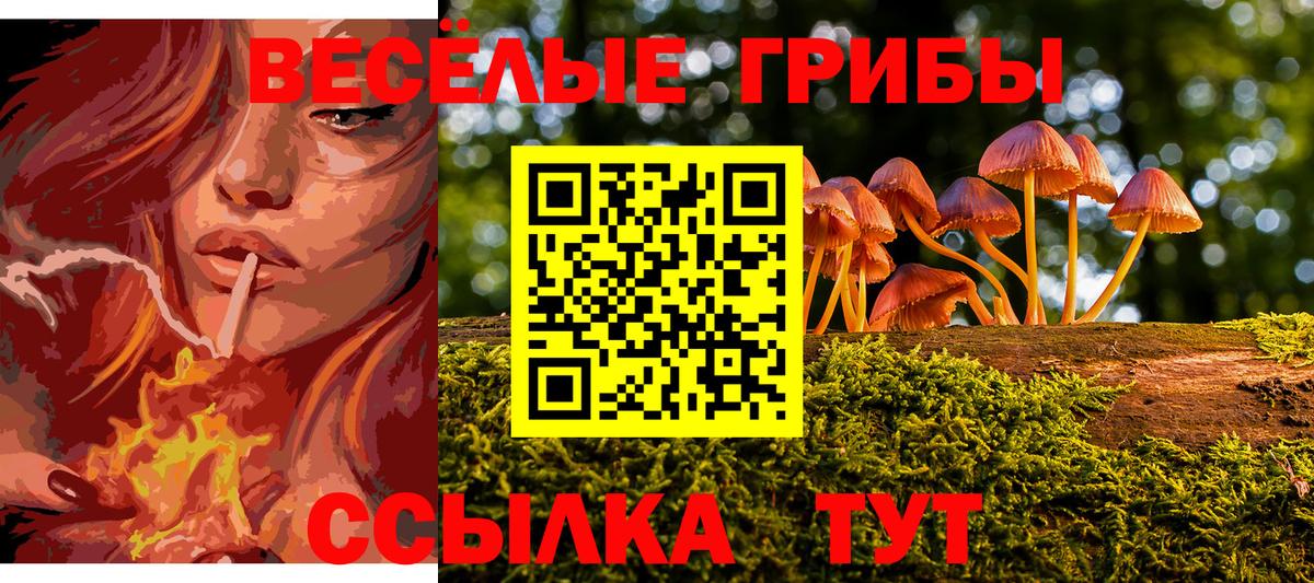 Псилоцибиновые грибы прущие грибы Алапаевск